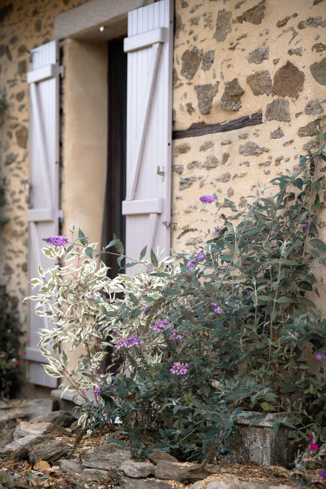 Domaine Abbey-Rose Hotell Champsac Exteriör bild